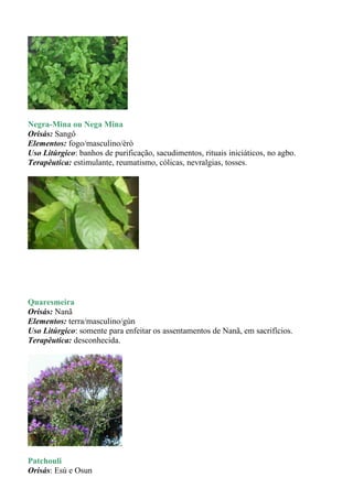 Negra-Mina ou Nega Mina
Orisás: Sangô
Elementos: fogo/masculino/èrò
Uso Litúrgico: banhos de purificação, sacudimentos, rituais iniciáticos, no agbo.
Terapêutica: estimulante, reumatismo, cólicas, nevralgias, tosses.




Quaresmeira
Orisás: Nanã
Elementos: terra/masculino/gùn
Uso Litúrgico: somente para enfeitar os assentamentos de Nanã, em sacrifícios.
Terapêutica: desconhecida.




Patchouli
Orisás: Esú e Osun
 