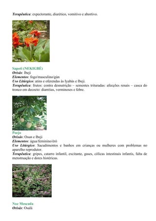 Terapêutica: expectorante, diurético, vomitivo e abortivo.




Sapoti (NEKIGBÉ)
Orisás: Ibeji
Elementos: fogo/masculino/gùn
Uso Litúrgico: atins e oferendas às Iyabás e Ibeji.
Terapêutica: frutos: contra desnutrição – sementes trituradas: afecções renais – casca do
tronco em decocto: diarréias, verminoses e febre.




Poejo
Orixás: Osun e Ibeji
Elementos: água/feminino/èrò
Uso Litúrgico: Sacudimentos e banhos em crianças ou mulheres com problemas no
aparelho reprodutor.
Terapêutica: gripes, catarro infantil, excitante, gases, cólicas intestinais infantis, falta de
menstruação e dores histéricas.




Noz Moscada
Orisás: Osalá
 