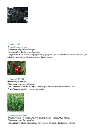 Romã (ÀGBÀ)
Orisás: Sango e Ogun
Elementos: fogo/masculino/gùn
Uso Litúrgico: Banhos purificatórios
Terapêutica: Chá da casca – gargarejos p/garganta. Xarope do fruto – amidalites, afecções
urinárias, gastrites, cólicas intestinais, hemorróidas.




Milho (ÀGBÀDÓ)
Orisás: Ogun e Osòósi
Elementos: terra/masculino/gùn
Uso Litúrgico: culinária litúrgica, defumação da casa e assentamentos de Esu.
Terapêutica: o cabelo – problemas renais.




Umbaúba (ÀGBAÓ)
Orisás: Branca – Yemoja, Osanyin e Nanã; Roxa – Sango, Oyá e Nanã
Elementos: terra/feminino/èrò
Uso Litúrgico: rituais e banhos de purificação, oferendas de frutos a Osanyin
 