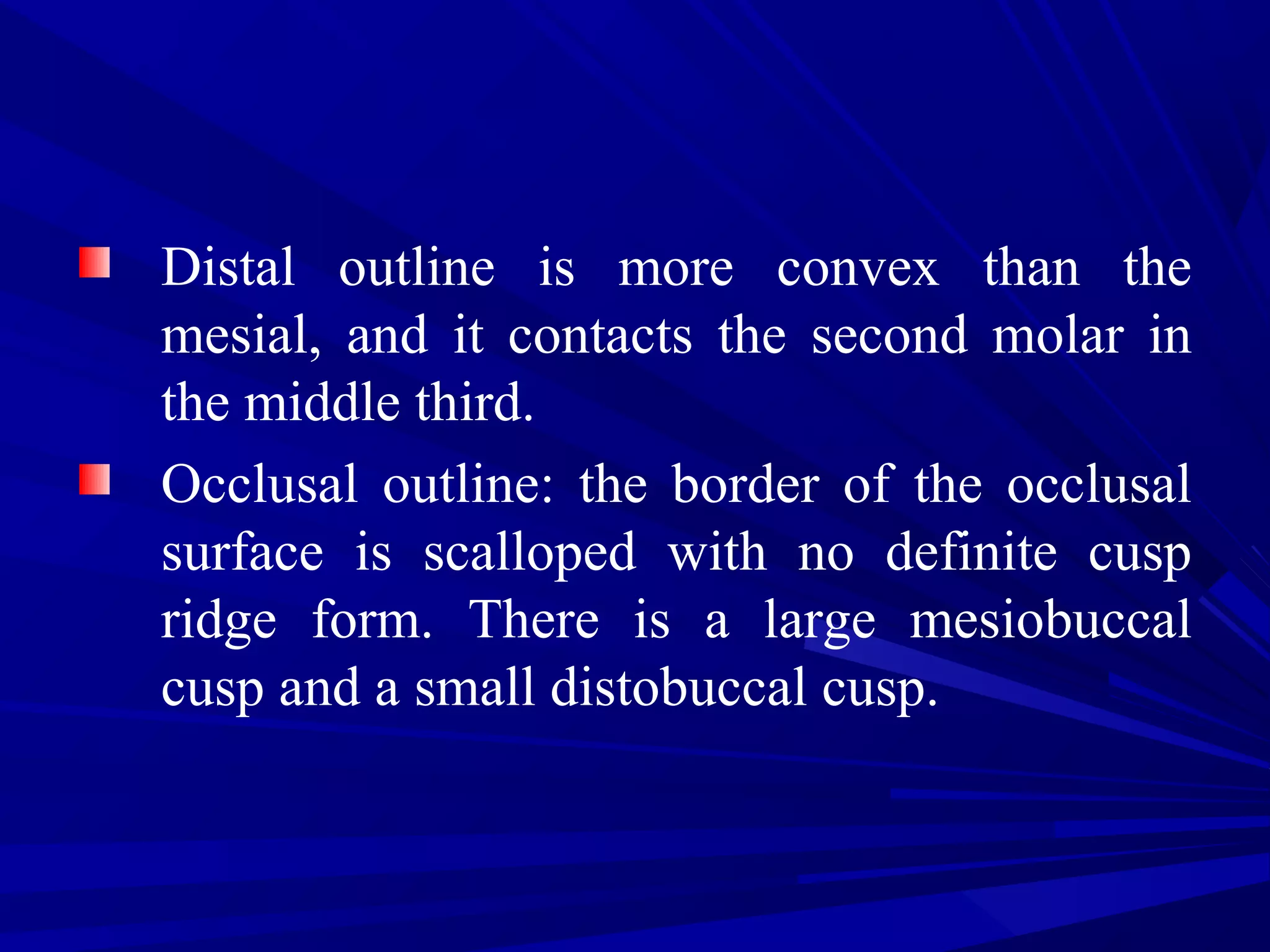 Distal outline is more convex than the
mesial, and it contacts the second molar in
the middle third.
Occlusal outline: the border of the occlusal
surface is scalloped with no definite cusp
ridge form. There is a large mesiobuccal
cusp and a small distobuccal cusp.
 