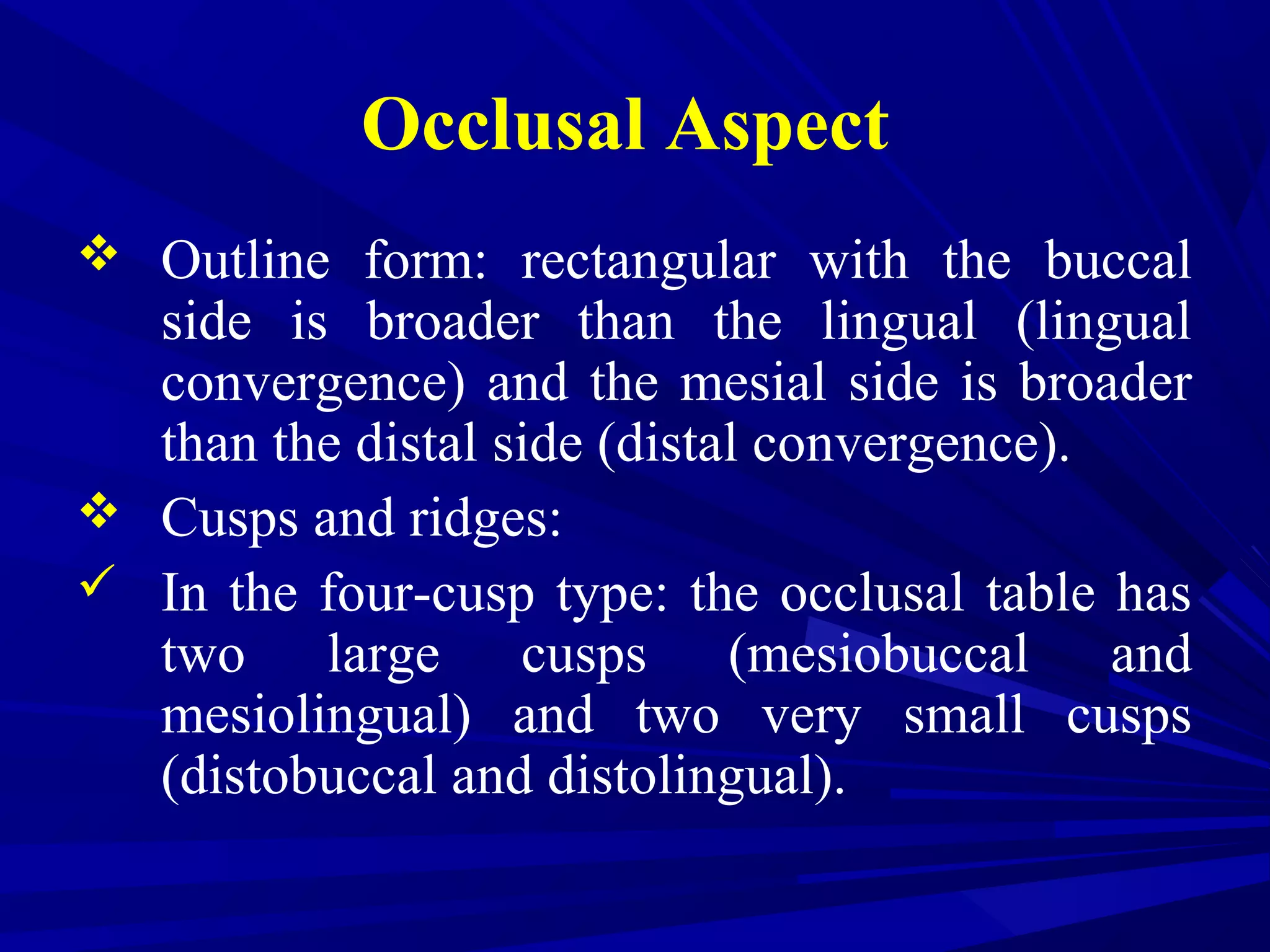 Occlusal Aspect
 Outline form: rectangular with the buccal
side is broader than the lingual (lingual
convergence) and the mesial side is broader
than the distal side (distal convergence).
 Cusps and ridges:
 In the four-cusp type: the occlusal table has
two large cusps (mesiobuccal and
mesiolingual) and two very small cusps
(distobuccal and distolingual).
 