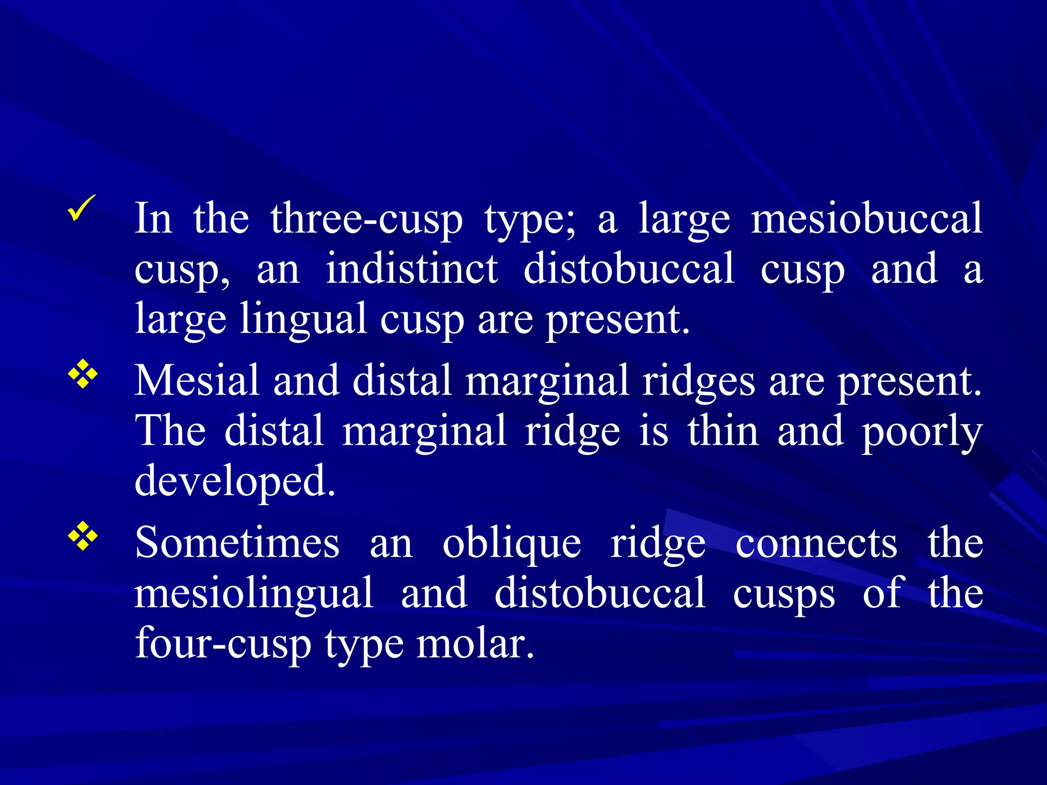  In the three-cusp type; a large mesiobuccal
cusp, an indistinct distobuccal cusp and a
large lingual cusp are present.
 Mesial and distal marginal ridges are present.
The distal marginal ridge is thin and poorly
developed.
 Sometimes an oblique ridge connects the
mesiolingual and distobuccal cusps of the
four-cusp type molar.
 