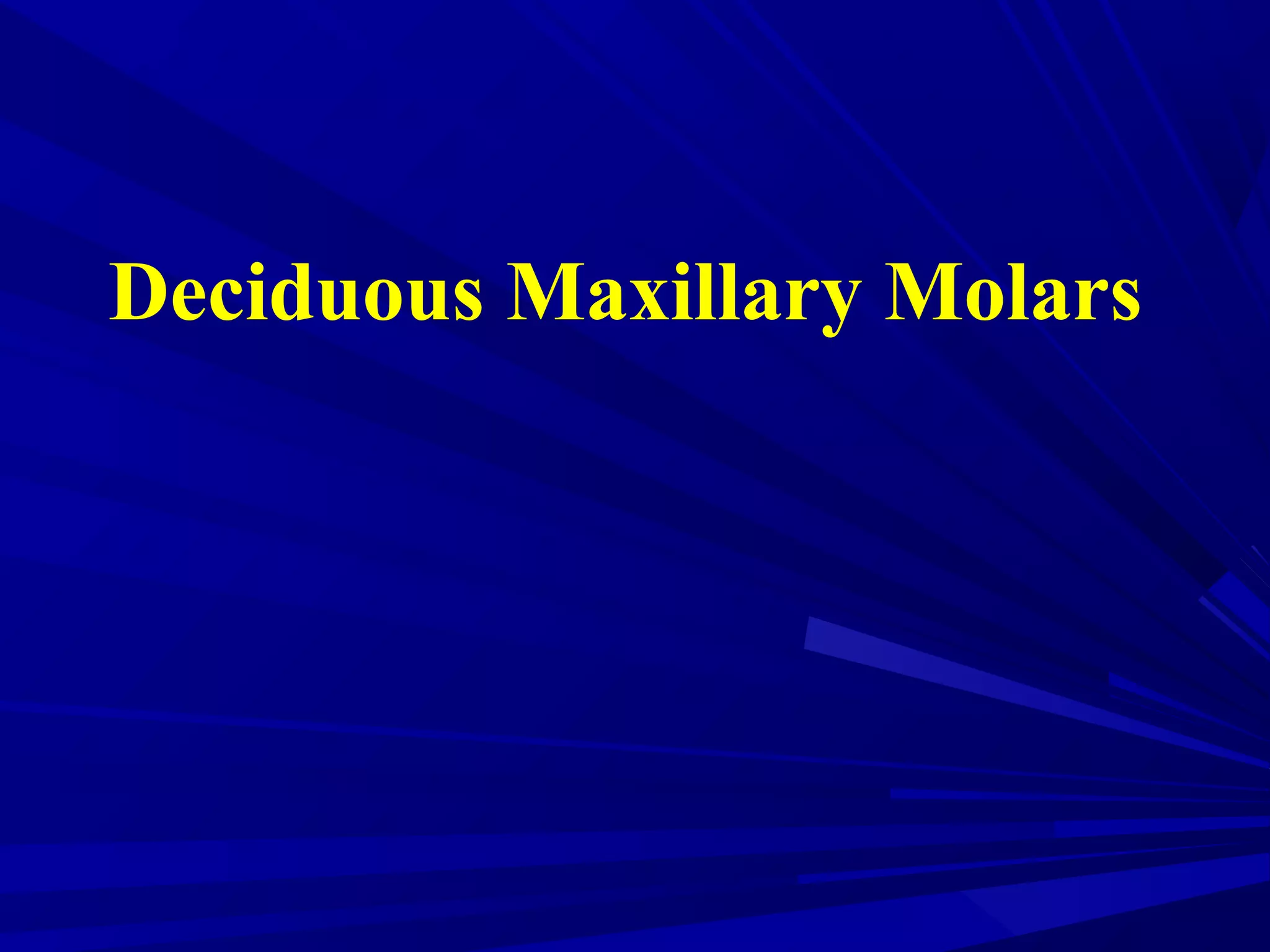 Deciduous Maxillary Molars
 
