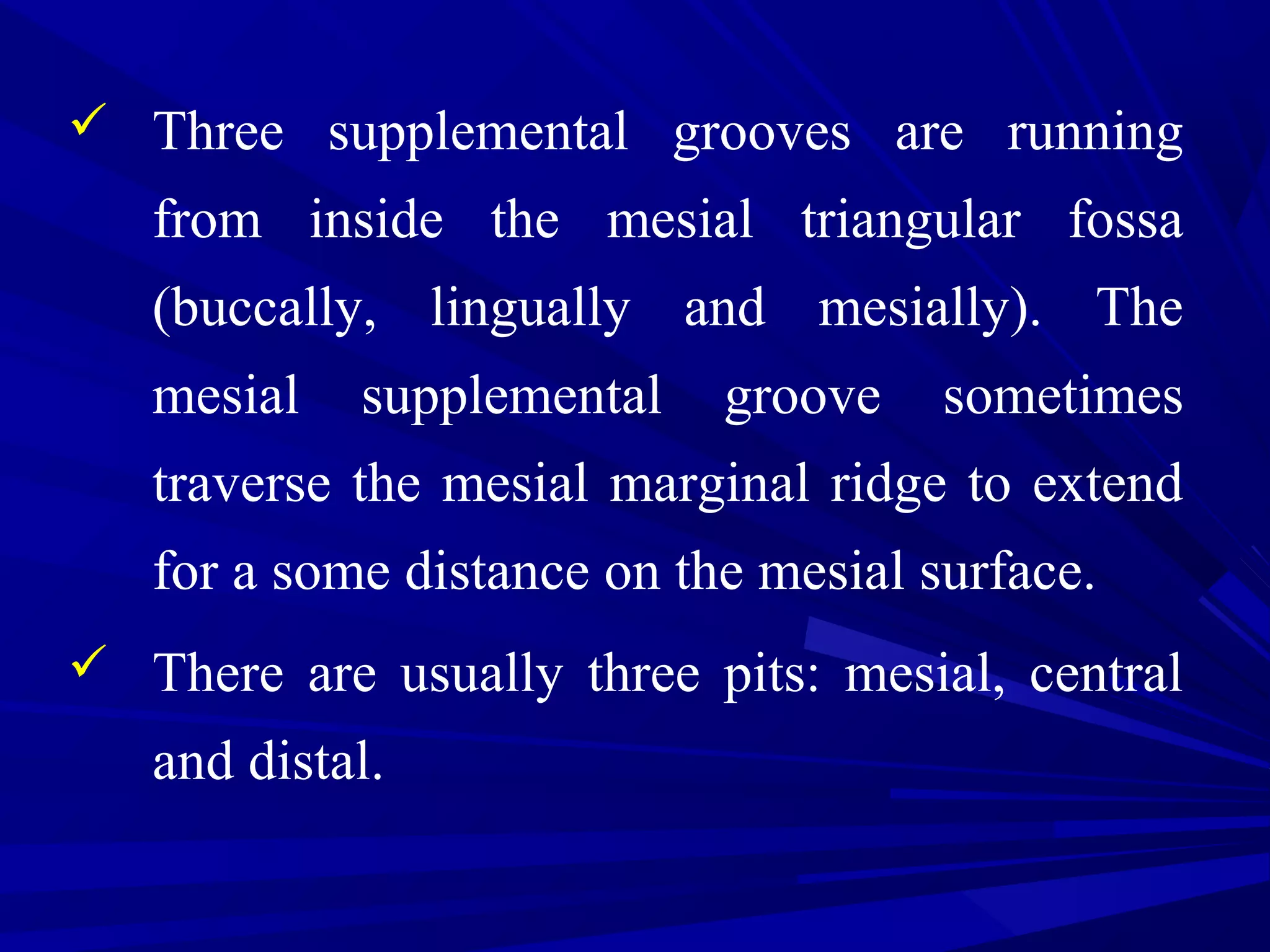  Three supplemental grooves are running
from inside the mesial triangular fossa
(buccally, lingually and mesially). The
mesial supplemental groove sometimes
traverse the mesial marginal ridge to extend
for a some distance on the mesial surface.
 There are usually three pits: mesial, central
and distal.
 