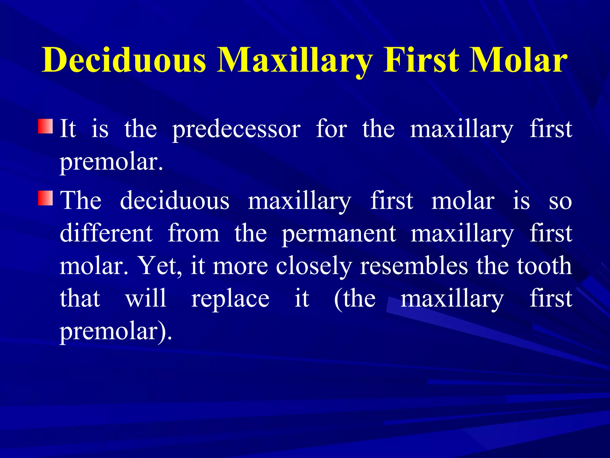Deciduous Maxillary First Molar
It is the predecessor for the maxillary first
premolar.
The deciduous maxillary first molar is so
different from the permanent maxillary first
molar. Yet, it more closely resembles the tooth
that will replace it (the maxillary first
premolar).
 