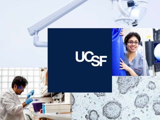 Building Your Professional Network with LinkedIn