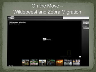 Summers in the Arctic