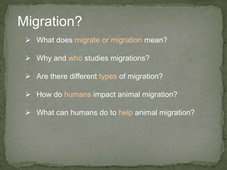Migration?What does migrate or migrationmean?
