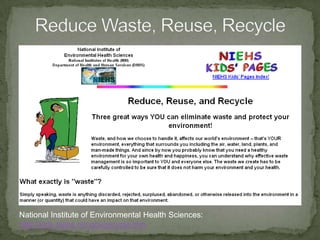 Zebra & Wildebeest Migrate TogetherComplementary grazers