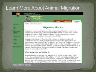 Zebra provide early warning of predators