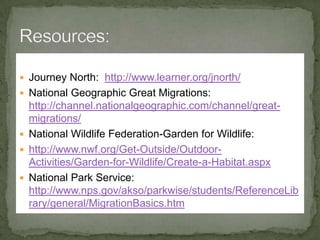 On the Move – Wildebeest and Zebra Migration