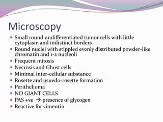 Microscopy
 Small round undifferentiated tumor cells with little
    cytoplasm and indistinct borders
   Round nuclei with stippled evenly distributed powder-like
    chromatin and 1-2 nucleoli
   Frequent mitosis
   Necrosis and Ghost cells
   Minimal inter-cellular substance
   Rosette and psuedo-rosette formation
   Perithelioma
   NO GIANT CELLS
   PAS +ve  presence of glycogen
   Reactive for vimentin
 