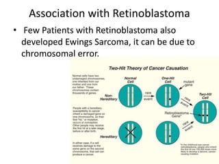 Association with Retinoblastoma
• Few Patients with Retinoblastoma also
developed Ewings Sarcoma, it can be due to
chromosomal error.
 