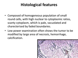 Histological features
• Composed of homogeneous population of small
round cells, with high nuclear to cytoplasmic ratios,
scanty cytoplasm, which is pale, vacuolated and
charecterised by faded boundaries.
• Low power examination often shows the tumor to be
modified by large area of necrosis, hemorrhage,
calcification.
 