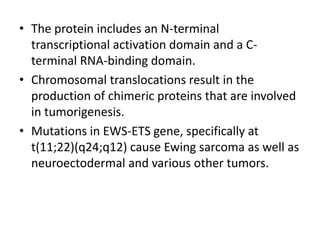 • The protein includes an N-terminal
transcriptional activation domain and a C-
terminal RNA-binding domain.
• Chromosomal translocations result in the
production of chimeric proteins that are involved
in tumorigenesis.
• Mutations in EWS-ETS gene, specifically at
t(11;22)(q24;q12) cause Ewing sarcoma as well as
neuroectodermal and various other tumors.
 