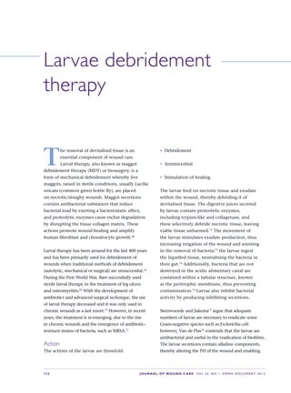 S22 JOURNAL OF WOUND CARE    Vol 22. No 1. EWMA Docu men t 2013
Larvae debridement
therapy
T
he removal of devitalised tissue is an
essential component of wound care.
Larval therapy, also known as maggot
debridement therapy (MDT) or biosurgery, is a
form of mechanical debridement whereby live
maggots, raised in sterile conditions, usually Lucilia
sericata (common green bottle fly), are placed
on necrotic/sloughy wounds. Maggot secretions
contain antibacterial substances that reduce
bacterial load by exerting a bacteriostatic effect,
and proteolytic enzymes cause eschar degradation
by disrupting the tissue collagen matrix. These
actions promote wound healing and amplify
human fibroblast and chondrocyte growth.68
Larval therapy has been around for the last 400 years
and has been primarily used for debridement of
wounds when traditional methods of debridement
(autolytic, mechanical or surgical) are unsuccessful.14
During the First World War, Baer successfully used
sterile larval therapy in the treatment of leg ulcers
and osteomyelitis.69
With the development of
antibiotics and advanced surgical technique, the use
of larval therapy decreased and it was only used in
chronic wounds as a last resort.70
However, in recent
years, the treatment is re-emerging, due to the rise
in chronic wounds and the emergence of antibiotic-
resistant strains of bacteria, such as MRSA.71
Action
The actions of the larvae are threefold:
•	 Debridement
•	 Antimicrobial
•	 Stimulation of healing.
The larvae feed on necrotic tissue and exudate
within the wound, thereby debriding it of
devitalised tissue. The digestive juices secreted
by larvae contain proteolytic enzymes,
including trypsin-like and collagenase, and
these selectively debride necrotic tissue, leaving
viable tissue unharmed.72
The movement of
the larvae stimulates exudate production, thus
increasing irrigation of the wound and assisting
in the removal of bacteria;73
the larvae ingest
the liquefied tissue, neutralising the bacteria in
their gut.74
Additionally, bacteria that are not
destroyed in the acidic alimentary canal are
contained within a tubular structure, known
as the peritrophic membrane, thus preventing
contamination.74
Larvae also inhibit bacterial
activity by producing inhibiting secretions.
Steenvoorde and Jukema75
argue that adequate
numbers of larvae are necessary to eradicate some
Gram-negative species such as Escherichia coli;
however, Van de Plas76
contends that the larvae are
antibacterial and useful in the eradication of biofilms.
The larvae secretions contain alkaline components,
thereby altering the PH of the wound and enabling
 