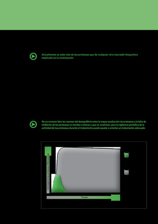 3 | CONSENSO INTERNACIONAL
Otra fuente de proteasas en las heridas son las bacterias. Además de estimular la producción
de proteasas mediante la activación del sistema inmunitario, algunas bacterias de las heridas
pueden segregar proteasas por sí mismas. Sin embargo, el impacto de las proteasas derivadas de
bacterias en la cicatrización de las proteasas en la heridas y su contribución a la actividad total
de las proteasas en la herida aún está por determinar.
Actualmente se sabe más de las proteasas que de cualquier otro marcador bioquímico
implicado en la cicatrización
LA ACTIVIDAD ELEVADA DE LAS PROTEASAS COMO MARCADOR PARA LA AUSENSIA
DE CICATRIZACIÓN
Hay un conjunto importante de datos de estudios en animales y en seres humanos que insinúa
que la actividad de las proteasas (especialmente las MMPs y la elastasa leucocitaria humana
[ELH]) se encuentra elevada en heridas que no progresan hacia la cicatrización9-20
.
En el curso normal de la cicatrización, hay un rápido incremento inicial de los niveles de
proteasas21,22
. Los niveles alcanzan su máximo al cabo de unos tres días y comienzan a descender
hacia el día cinco (Figura 1). En las heridas que no cicatrizan, sin embargo, no sólo las proteasas
alcanzan niveles mayores que en las que lo hacen, sino que persisten mucho más tiempo. El
resultado es un entorno en la herida altamente destructivo.
Aunque la relación entre las proteasas, la inflamación y la cicatrización se conoce en líneas
generales, hay otros marcadores asociados con la inflamación (como el TNF-alfa) que pueden
justificar una investigación adicional como posibles candidatos para pruebas diagnósticas23
. Sin
embargo, los datos hasta la fecha insinúan que las proteasas pueden ser los biomarcadores más
prometedores para evaluar la cicatrización a nivel bioquímico.
No se conocen bien las razones del desequilibrio entre la mayor producción de proteasas y la falta de
inhibición de las proteasas en heridas crónicas o que no cicatrizan, pero la vigilancia periódica de la
actividad de las proteasas durante el tratamiento puede ayudar a orientar un tratamiento adecuado•
•
Figura 1 | Cambios de la
actividad de las proteasas en
las heridas
Cicatrización
normal
Herida que no
cicatriza
Tiempo
Actividaddelasproteasasinflamatorias
 