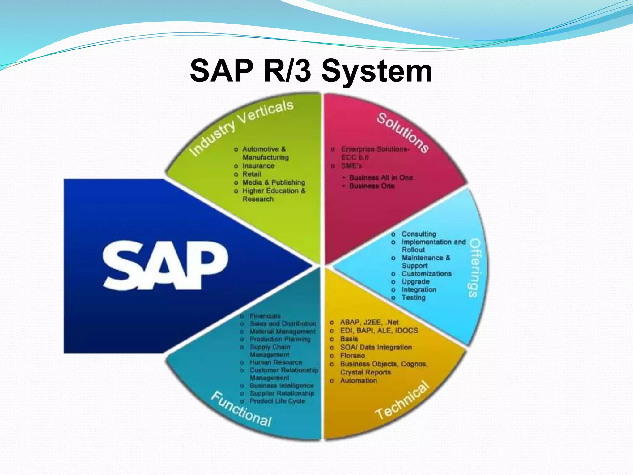 SAP R/3 System
 