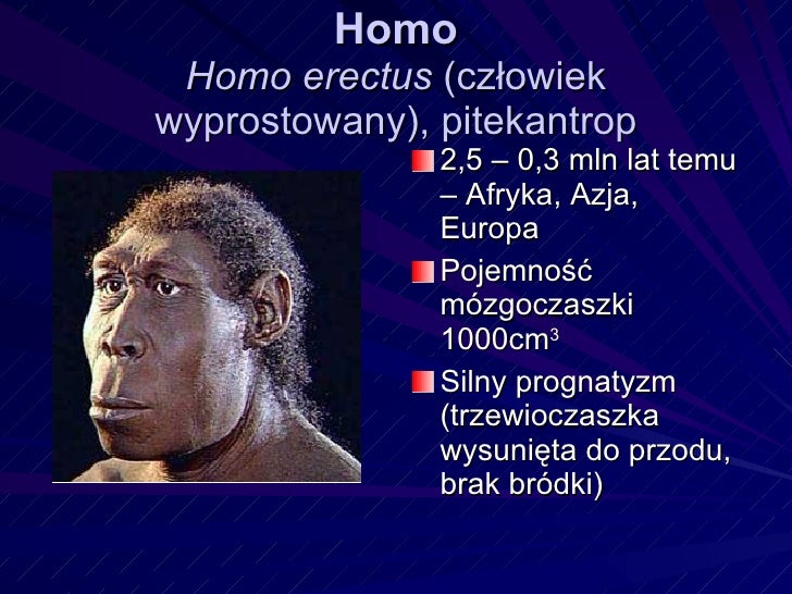 Dlaczego Człowiek Potrzebuje 2 Człowieka Dlaczego Człowiek Potrzebuje 2 Człowieka - Margaret Wiegel