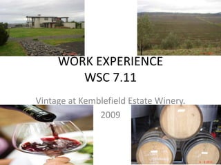 WORK EXPERIENCEWSC 7.11 Vintage at Kemblefield Estate Winery. 2009 