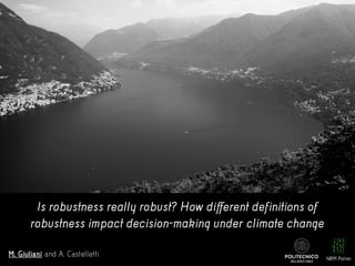 Is robustness really robust? How different definitions of
robustness impact decision-making under climate change
M. Giulia...
