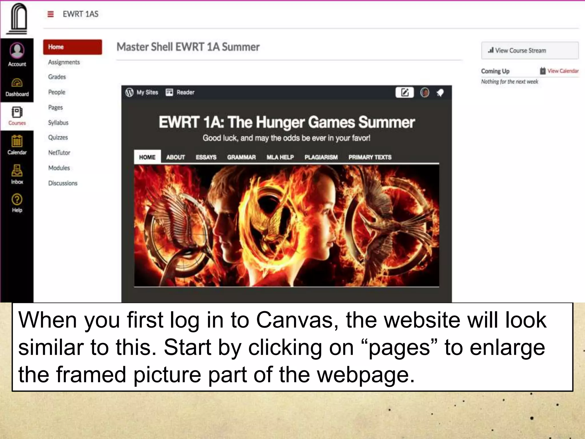 When you first log in to Canvas, the website will look
similar to this. Start by clicking on “pages” to enlarge
the framed picture part of the webpage.
 