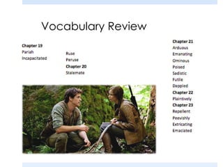 Vocabulary Review
 