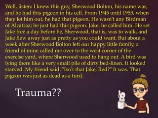 Well, listen: I knew this guy, Sherwood Bolton, his name was,
and he had this pigeon in his cell. From 1945 until 1953, when
they let him out, he had that pigeon. He wasn't any Birdman
of Alcatraz; he just had this pigeon. Jake, he called him. He set
Jake free a day before he, Sherwood, that is, was to walk, and
Jake flew away just as pretty as you could want. But about a
week after Sherwood Bolton left our happy little family, a
friend of mine called me over to the west corner of the
exercise yard, where Sherwood used to hang out. A bird was
lying there like a very small pile of dirty bed-linen. It looked
starved. My friend said: "Isn't that Jake, Red?" It was. That
pigeon was just as dead as a turd.
Trauma??
 