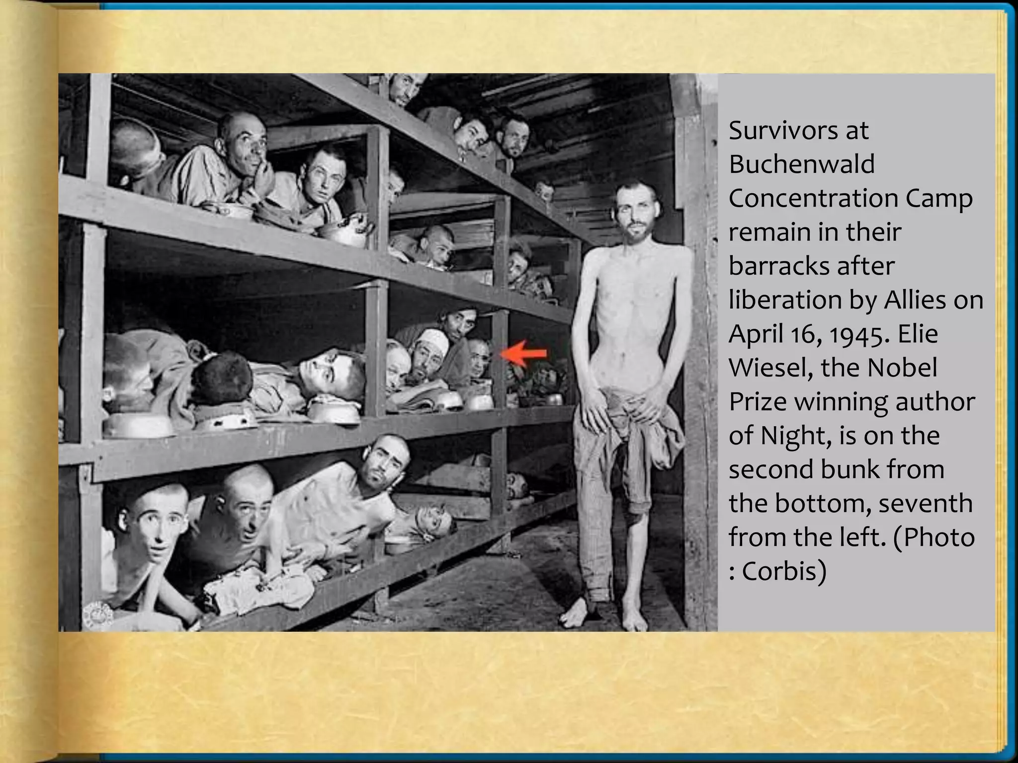 Survivors at
Buchenwald
Concentration Camp
remain in their
barracks after
liberation by Allies on
April 16, 1945. Elie
Wiesel, the Nobel
Prize winning author
of Night, is on the
second bunk from
the bottom, seventh
from the left. (Photo
: Corbis)
 