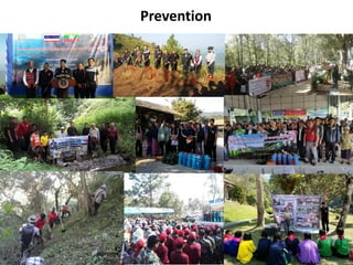 Ews by forecast fdrs of thailand and upper asean and forest fire ...
