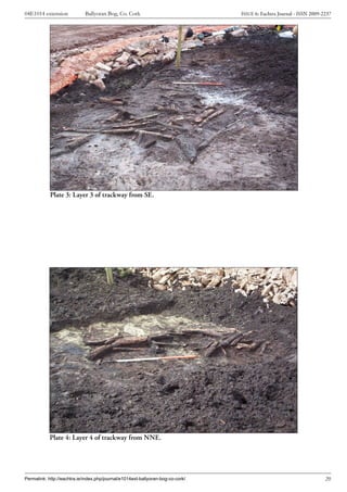 Archaeological Excavation Report  04 E1014 ext. Ballyoran Bog, n8rf 