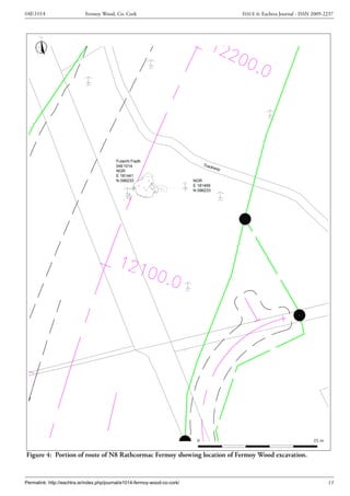 Archaeological Excavation Report  04E1014 Fermoy Wood, N8RF Slide 20