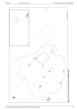 Archaeological Excavation Report  04E1014 Fermoy Wood, N8RF Slide 21