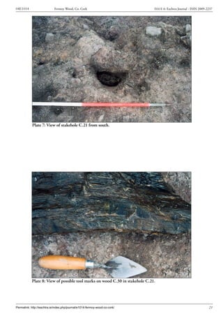 Archaeological Excavation Report  04E1014 Fermoy Wood, N8RF Slide 26