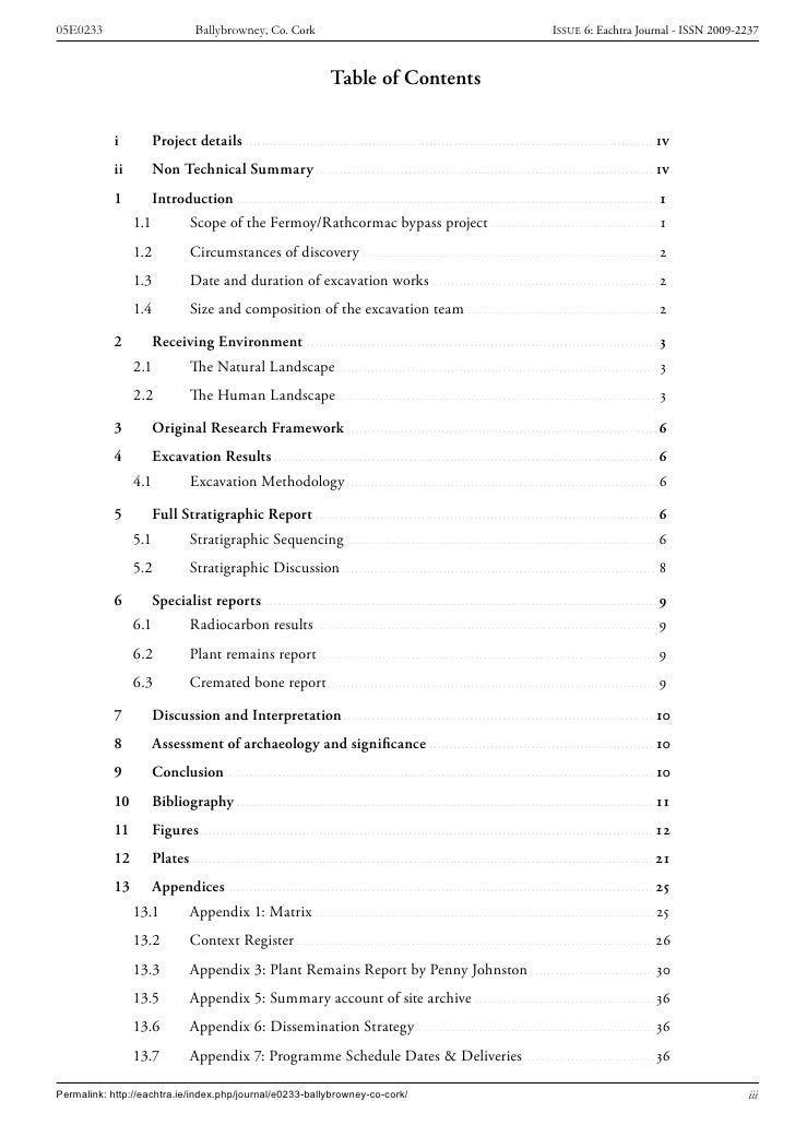 Archaeological report on a major site picture