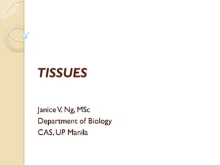 TISSUES
JaniceV. Ng, MSc
Department of Biology
CAS, UP Manila
 