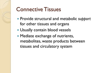 Connective Tissues
 Provide structural and metabolic support
for other tissues and organs
 Usually contain blood vessels
 Mediate exchange of nutrients,
metabolites, waste products between
tissues and circulatory system
 
