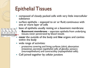 Epithelial Tissues
 composed of closely packed cells with very little intercellular
substance
 surface epithelia – exposed to air or fluid; continuous with
one or more layer of cells
 base of epithelia usually resting on a basement membrane
◦ Basement membrane – separates epithelia from underlying
tissues; never penetrated by blood vessels
 cover the outside of the body and line organs and cavities
within the body
 wide range of activities:
◦ protective covering and lining surfaces (skin), absorption
(intestine), secretion (epithelial cells of glands), sensory
(neuroepithelium) and contractility (myoepithelial cells).
 Cell joined together by cellular junctions
 