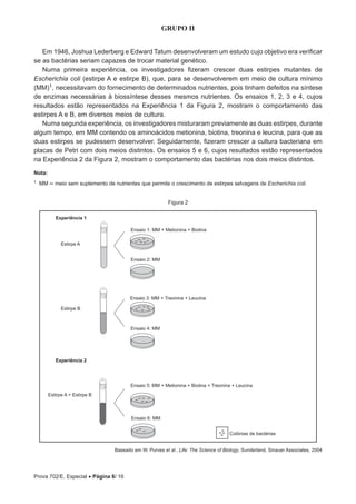 Prova 702/E. Especial • Página 6/ 16
GRUPO II
Em 1946, Joshua Lederberg e Edward Tatum desenvolveram um estudo cujo objetivo era verificar
se as bactérias seriam capazes de trocar material genético.
Numa primeira experiência, os investigadores fizeram crescer duas estirpes mutantes de
Escherichia coli (estirpe A e estirpe B), que, para se desenvolverem em meio de cultura mínimo
(MM)1, necessitavam do fornecimento de determinados nutrientes, pois tinham defeitos na síntese
de enzimas necessárias à biossíntese desses mesmos nutrientes. Os ensaios 1, 2, 3 e 4, cujos
resultados estão representados na Experiência 1 da Figura 2, mostram o comportamento das
estirpes A e B, em diversos meios de cultura.
Numa segunda experiência, os investigadores misturaram previamente as duas estirpes, durante
algum tempo, em MM contendo os aminoácidos metionina, biotina, treonina e leucina, para que as
duas estirpes se pudessem desenvolver. Seguidamente, fizeram crescer a cultura bacteriana em
placas de Petri com dois meios distintos. Os ensaios 5 e 6, cujos resultados estão representados
na Experiência 2 da Figura 2, mostram o comportamento das bactérias nos dois meios distintos.
Nota:
1 MM — meio sem suplemento de nutrientes que permite o crescimento de estirpes selvagens de Escherichia coli.
Figura 2
Ensaio 1: MM + Metionina + Biotina
Ensaio 2: MM
Estirpe A
Estirpe B
Ensaio 3: MM + Treonina + Leucina
Ensaio 4: MM
Estirpe A + Estirpe B
Ensaio 5: MM + Metionina + Biotina + Treonina + Leucina
Ensaio 6: MM
Experiência 1
Experiência 2
Colónias de bactérias
Baseado em W. Purves et al., Life: The Science of Biology, Sunderland, Sinauer Associates, 2004
 