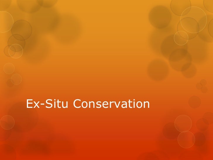 Ex Situ Conservation