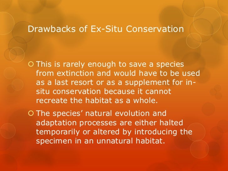 Ex Situ Conservation