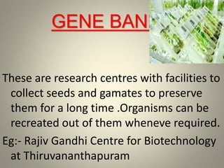 GENE BANKS
These are research centres with facilities to
collect seeds and gamates to preserve
them for a long time .Organisms can be
recreated out of them wheneve required.
Eg:- Rajiv Gandhi Centre for Biotechnology
at Thiruvananthapuram
 