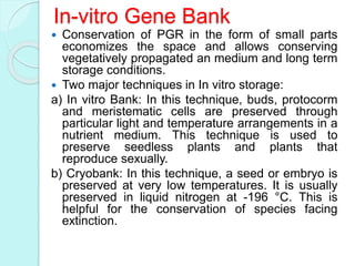 In-vitro Gene Bank
 Conservation of PGR in the form of small parts
economizes the space and allows conserving
vegetatively propagated an medium and long term
storage conditions.
 Two major techniques in In vitro storage:
a) In vitro Bank: In this technique, buds, protocorm
and meristematic cells are preserved through
particular light and temperature arrangements in a
nutrient medium. This technique is used to
preserve seedless plants and plants that
reproduce sexually.
b) Cryobank: In this technique, a seed or embryo is
preserved at very low temperatures. It is usually
preserved in liquid nitrogen at -196 °C. This is
helpful for the conservation of species facing
extinction.
 
