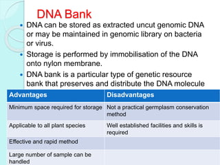 DNA Bank
 DNA can be stored as extracted uncut genomic DNA
or may be maintained in genomic library on bacteria
or virus.
 Storage is performed by immobilisation of the DNA
onto nylon membrane.
 DNA bank is a particular type of genetic resource
bank that preserves and distribute the DNA molecule
and provides associated informationAdvantages Disadvantages
Minimum space required for storage Not a practical germplasm conservation
method
Applicable to all plant species Well established facilities and skills is
required
Effective and rapid method
Large number of sample can be
handled
 