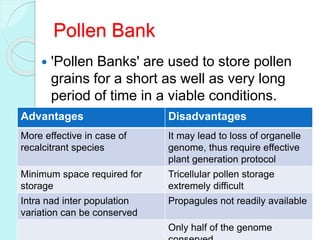 Pollen Bank
 'Pollen Banks' are used to store pollen
grains for a short as well as very long
period of time in a viable conditions.
Advantages Disadvantages
More effective in case of
recalcitrant species
It may lead to loss of organelle
genome, thus require effective
plant generation protocol
Minimum space required for
storage
Tricellular pollen storage
extremely difficult
Intra nad inter population
variation can be conserved
Propagules not readily available
Only half of the genome
 