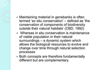  Maintaining material in genebanks is often
termed ‘ex situ conservation’ – defined as ‘the
conservation of components of biodiversity
outside their natural habitats’ (CBD, 1992)
 Whereas in situ conservation is maintenance
of viable population in their natural
surroundings – a dynamic system which
allows the biological resources to evolve and
change over time through natural selection
processes
 Both concepts are therefore fundamentally
different but are complementary.
 