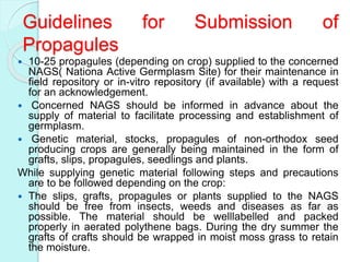 Guidelines for Submission of
Propagules
 10-25 propagules (depending on crop) supplied to the concerned
NAGS( Nationa Active Germplasm Site) for their maintenance in
field repository or in-vitro repository (if available) with a request
for an acknowledgement.
 Concerned NAGS should be informed in advance about the
supply of material to facilitate processing and establishment of
germplasm.
 Genetic material, stocks, propagules of non-orthodox seed
producing crops are generally being maintained in the form of
grafts, slips, propagules, seedlings and plants.
While supplying genetic material following steps and precautions
are to be followed depending on the crop:
 The slips, grafts, propagules or plants supplied to the NAGS
should be free from insects, weeds and diseases as far as
possible. The material should be welllabelled and packed
properly in aerated polythene bags. During the dry summer the
grafts of crafts should be wrapped in moist moss grass to retain
the moisture.
 