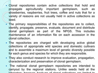  Clonal repositories contain active collections that hold and
propagate agriculturally important germplasm, such as
strawberries, raspberries, fruit trees, coffee and nuts that for a
variety of reasons are not usually held in active collections as
seed.
 The primary responsibilities of the repositories are to collect,
identify, propagate, preserve, evaluate, document and distribute
clonal germplasm as part of the NPGS. This includes
maintenance of an information file on each accession in the
clonal collection.
 The repositories are charged with developing active global
collections of appropriate wild species and domestic cultivars
and to assemble a maximum level of genetic diversity possible
for each genus and species for which they are responsible.
 They also conduct research to improve evaluation, propagation,
characterization and preservation of clonal germplasm.
 The national clonal germplasm repositories are intended to
carryout by the regional stations. Unlike seeds held at the
 