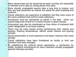  Many clonal crops can be conserved as seed, but they are impossible
to maintain true to type by raising plants from seed.
 Many clonally propagated species take a long time to mature, and
they are best preserved as mature live plants for plant breeding and
research.
 Clonal collections are expensive to establish and they have many of
the same problems that confront seed collections.
 Accessions must be maintained as plants in the field , which can
require large tract of land or in screen houses or green houses.
 Accessions may also be maintained as lives sticks of budwood held
under refrigeration or as tissue cultures.
 There may be many losses during maintenance from insects and
disease, freezing temperatures, electric power failures and grazing
animals.
 Clonal preservation is more expensive and labour intensive than seed
storage.
 Clonal collections have been threatened as facility or land use
priorities have been changed.
 By establishing the national clonal repositories, a mechanism for
stable, longterm maintenance for many important clonally propagated
species has been provided
 