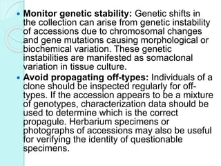  Monitor genetic stability: Genetic shifts in
the collection can arise from genetic instability
of accessions due to chromosomal changes
and gene mutations causing morphological or
biochemical variation. These genetic
instabilities are manifested as somaclonal
variation in tissue culture.
 Avoid propagating off-types: Individuals of a
clone should be inspected regularly for off-
types. If the accession appears to be a mixture
of genotypes, characterization data should be
used to determine which is the correct
propagule. Herbarium specimens or
photographs of accessions may also be useful
for verifying the identity of questionable
specimens.
 